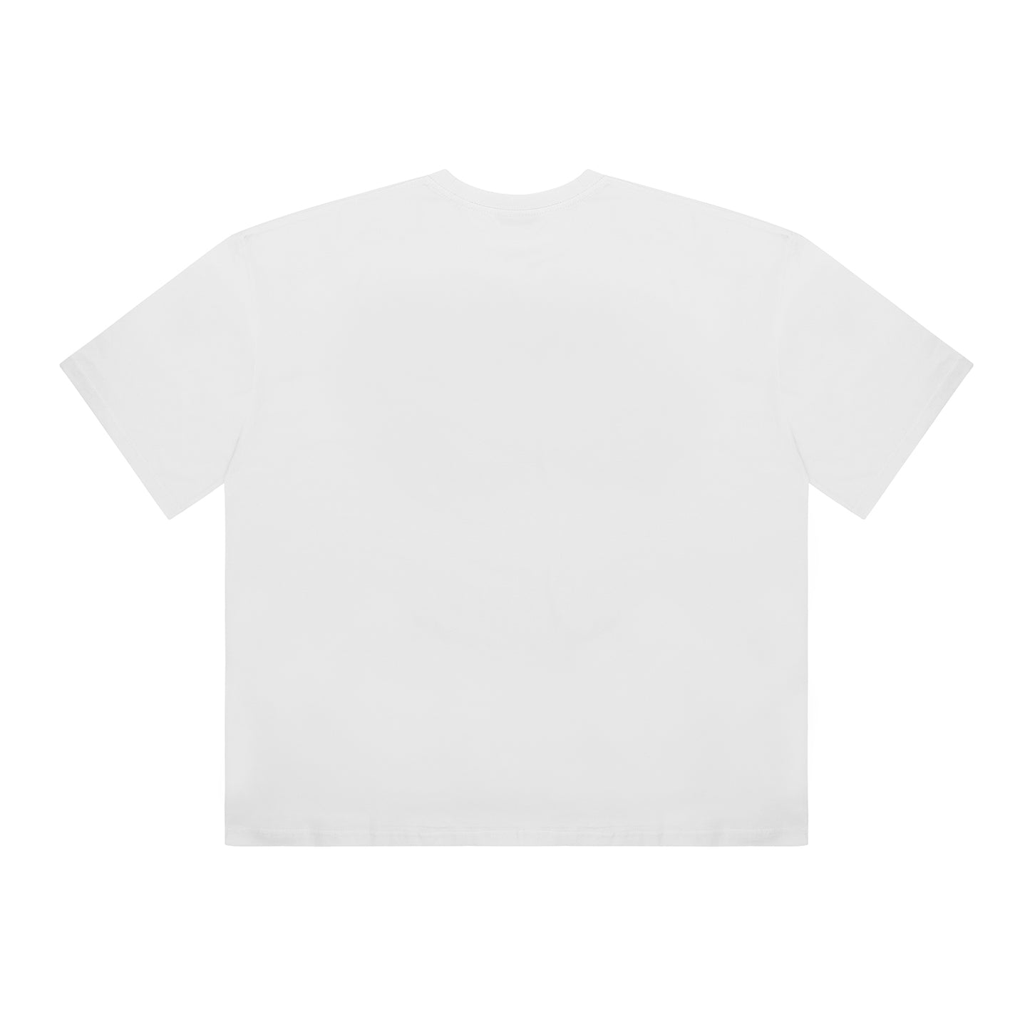 Freedom Camo Logo semiover fit T-shirt (white)